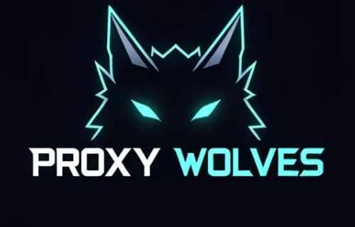 Proxy Wolves: A Logo Design Discussion